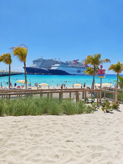 A palm-lined beach with turquoise water and docked cruise ships