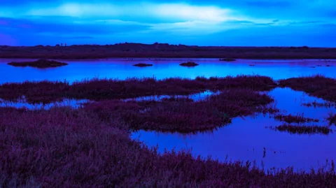 A blue and purple wetland landscape reflected in still water