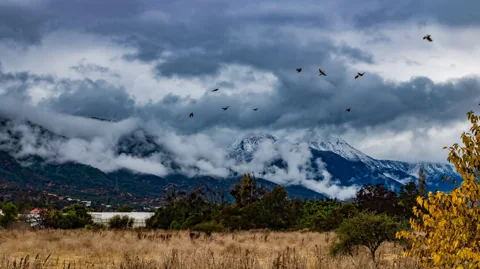 Snowy mountain peaks beneath clouds and birds, with golden foliage in the foreground