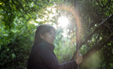 An outdoor portrait of a woman holding a branch, with sunlight through green leaves